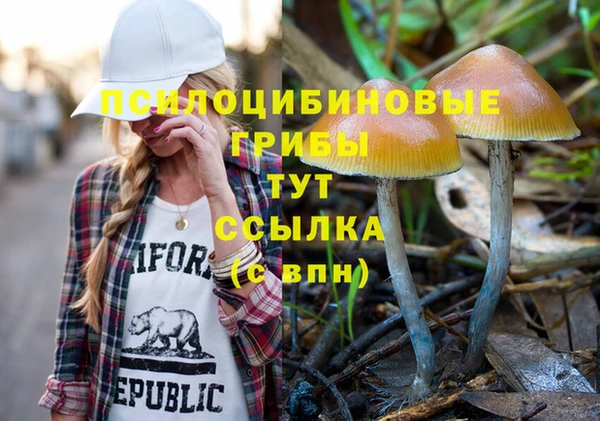 ALPHA-PVP Алексеевка