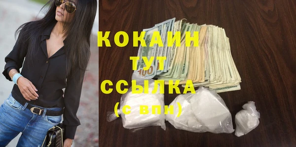 дживик Магас