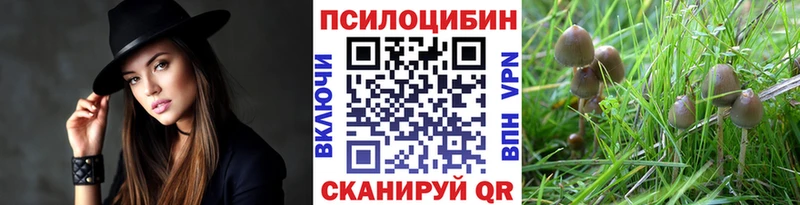 Псилоцибиновые грибы Psilocybine cubensis  блэк спрут ССЫЛКА  Игра 